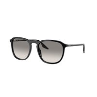 Occhiali da sole Ray-Ban 0RB2203901/3255 - 0RB2203901/3255